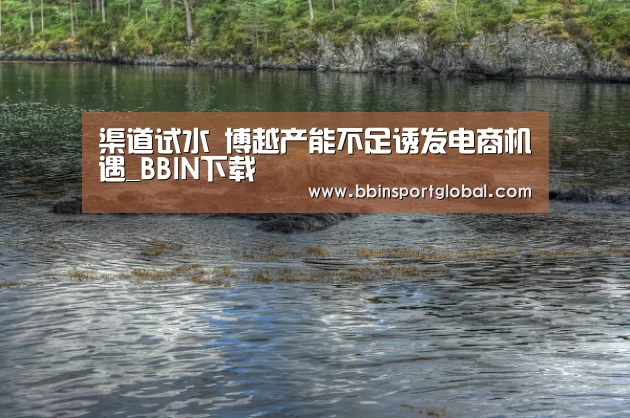 渠道试水 博越产能不足诱发电商机遇_BBIN下载(图2) BBIN真人