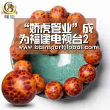 “娇虎管业”成为福建电视台2020“品牌福建”新春贺岁互动合作伙伴【BBIN真人】(图1) BBIN真人