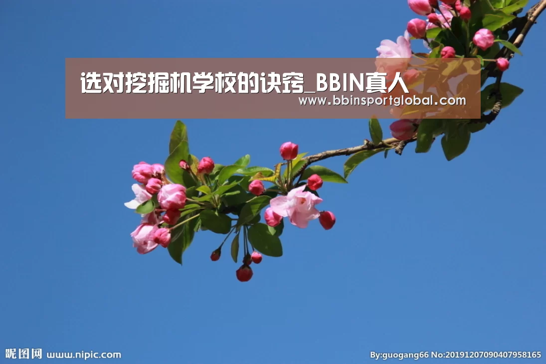 选对挖掘机学校的诀窍_BBIN真人(图2) BBIN真人