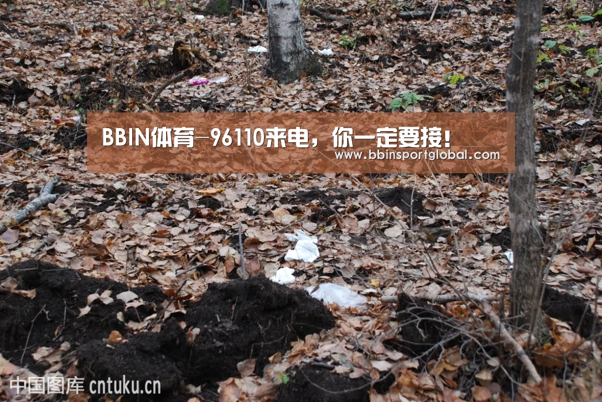 BBIN百家乐