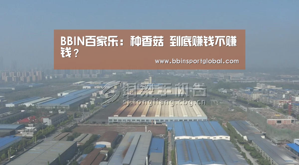 BBIN百家乐:种香菇 到底赚钱不赚钱?(图3) BBIN真人