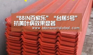 BBIN真人