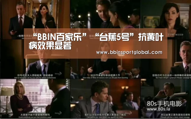 BBIN百家乐