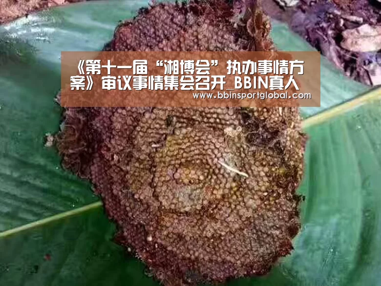 《第十一届“湘博会”执办事情方案》审议事情集会召开_BBIN真人(图3) BBIN下载