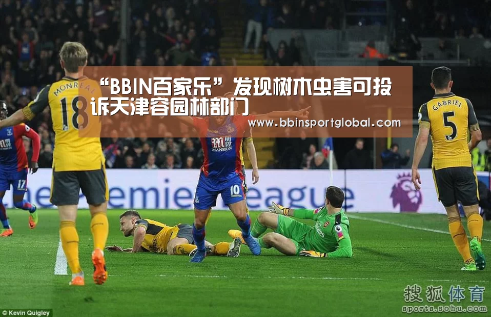 “BBIN百家乐”发现树木虫害可投诉天津容园林部门(图1) BBIN下载