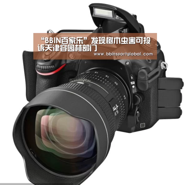 “BBIN百家乐”发现树木虫害可投诉天津容园林部门(图2) BBIN百家乐