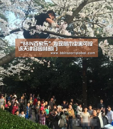 “BBIN百家乐”发现树木虫害可投诉天津容园林部门(图4) BBIN下载